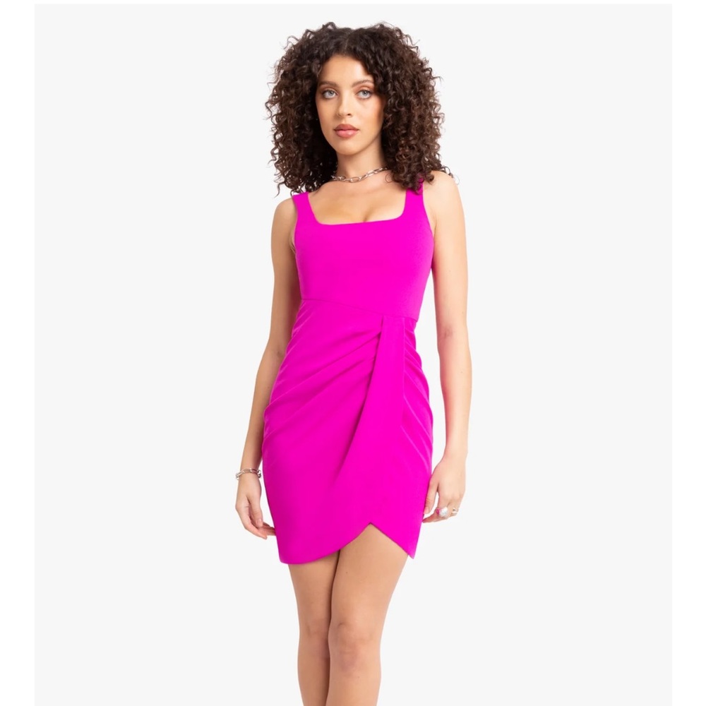 Black Halo Pink Dress